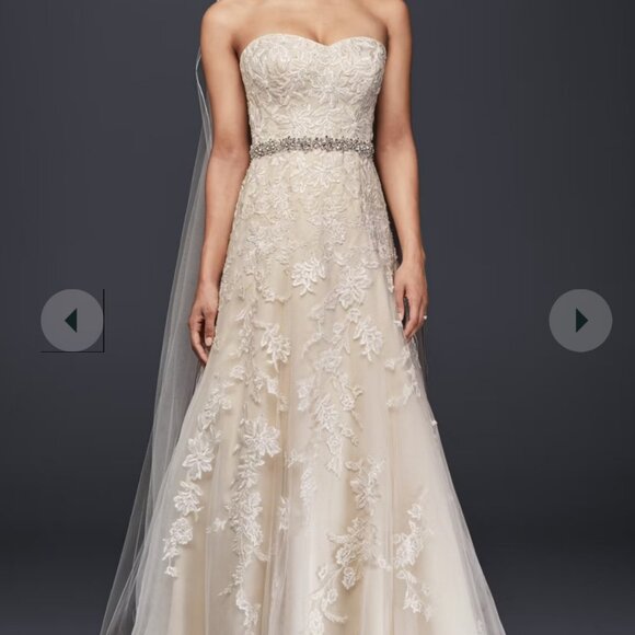 Lace over Nude A-Line Bridal Gown, so Lightweight!  David's Bridal size 6 - Picture 1 of 4